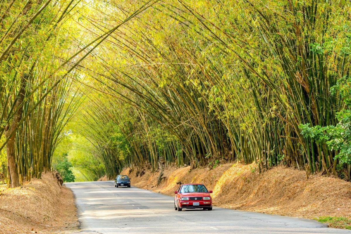 The Process Of Getting A International Driving License In Ethiopia   Driving Rules In Ethiopia 1200x800 